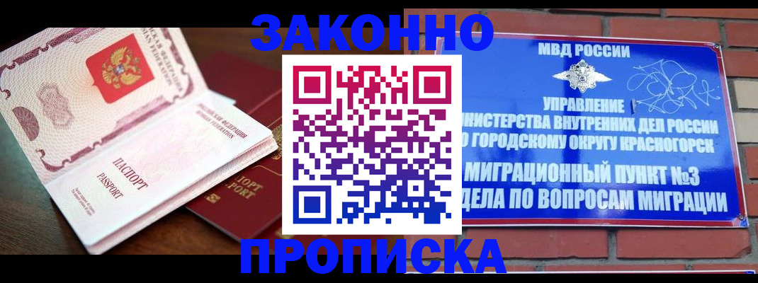 прописка для школы в Чистополье